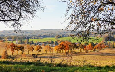 Slavnostní vyhlášení výsledků JamParády 2023